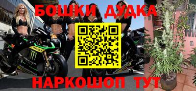крисы Нальчик