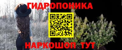 крисы Нальчик