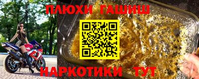 крисы Нальчик