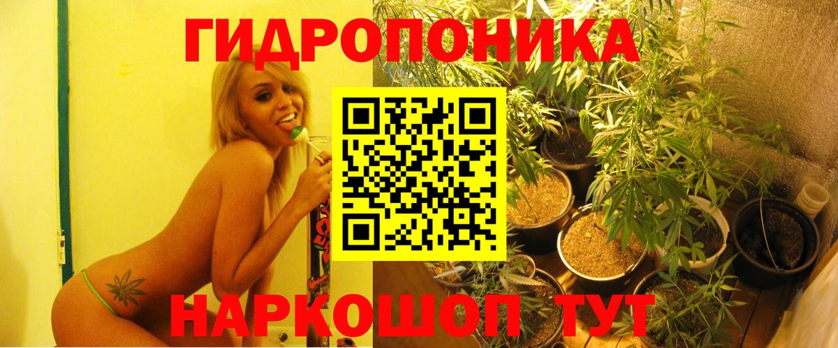 Бошки Шишки планчик Ступино